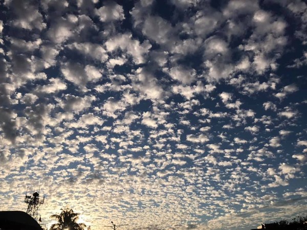 ▲▼大台北「棉花糖雲」變天前兆！2波冷空氣接力急凍15°C　大雨又來濕涼連5天 。（圖／中央氣象局、翻攝爆廢公社）