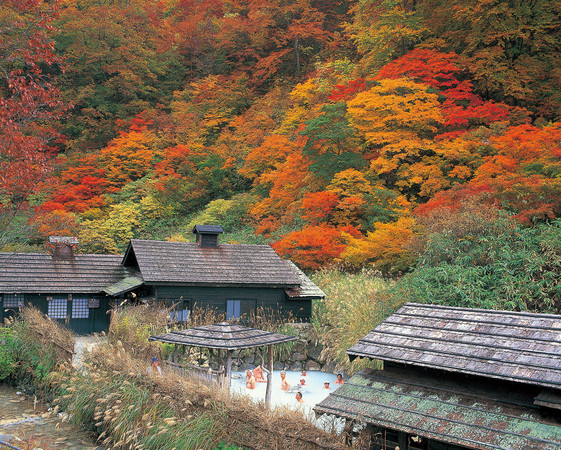 ▲▼日本東北六縣必泡溫泉。（圖／乳頭溫泉鄉提供）