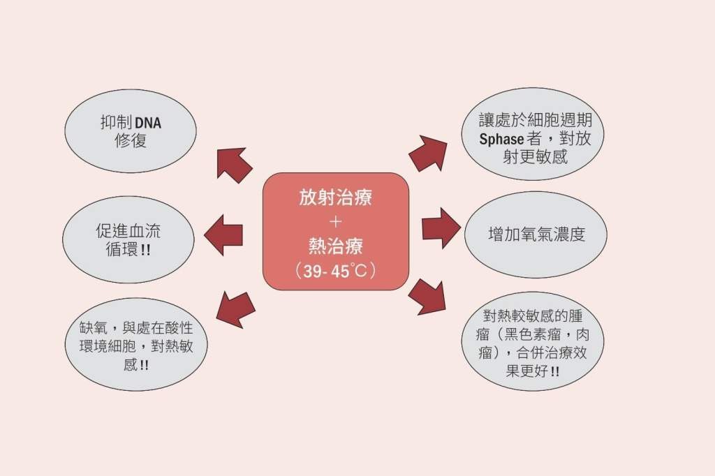 ▲▼書籍《自己的癌症自己救：改變腫瘤微環境，以自癒力克服癌症》。（圖／時報出版提供，請勿隨意翻拍，以免侵權。）