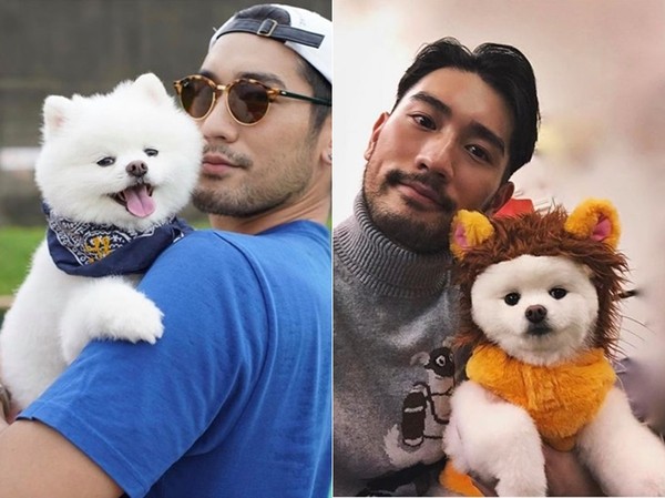 ▲▼高以翔2年前曾訪中和動物之家。（圖／翻攝自IG@godfreygao）