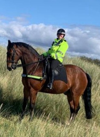 （圖／翻攝自Facebook／Merseyside Police Mounted Section）