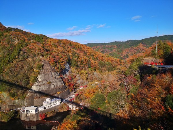 ▲▼龍神大吊橋。（圖／水靜葳環遊世界366天提供）