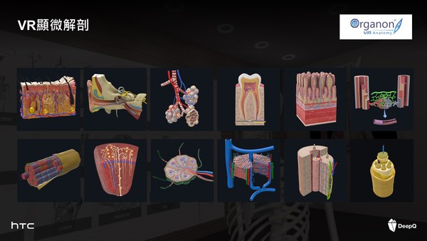 ▲宏達電DEEPQ攜手國防醫學院　首創全台最大MR解剖學教室3D Organon混合實境解剖教學。（圖／記者姚惠茹攝）