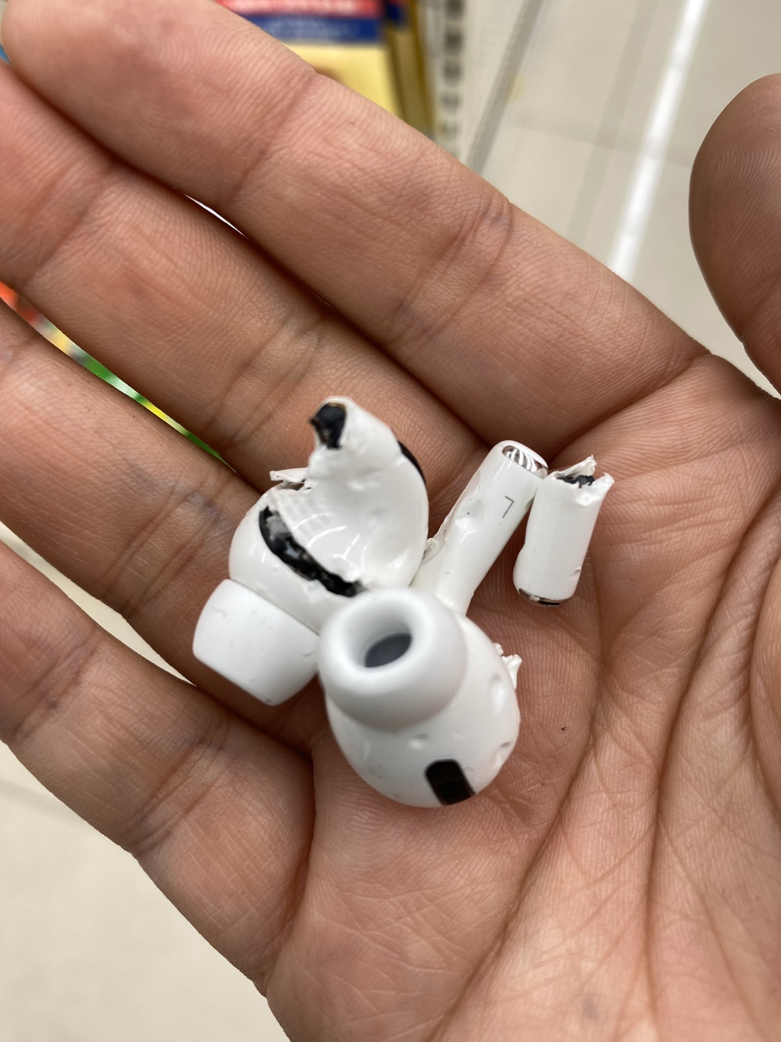 ▲▼AirPods Pro買回家當天被狗狗咬爛。（圖／翻攝自推特／@drivethecat）