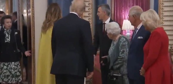 ▲▼英國女王接待川普，安妮長公主躲在後方聳肩。（圖／翻攝自推特／Edward Hardy）
