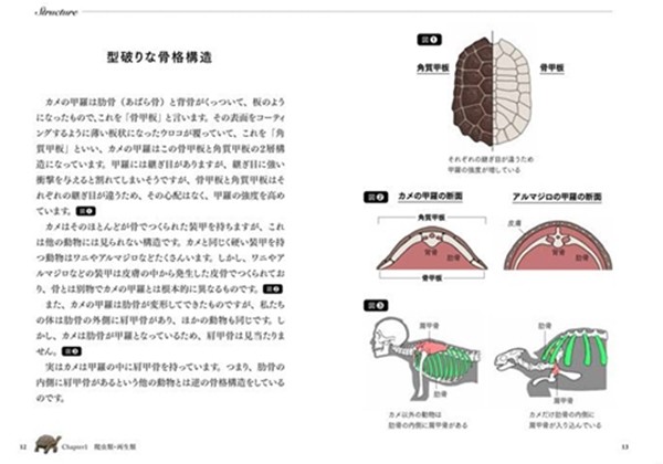 ▲▼超獵奇圖鑑。（圖／翻攝自Twitter／@satoshikawasaki）