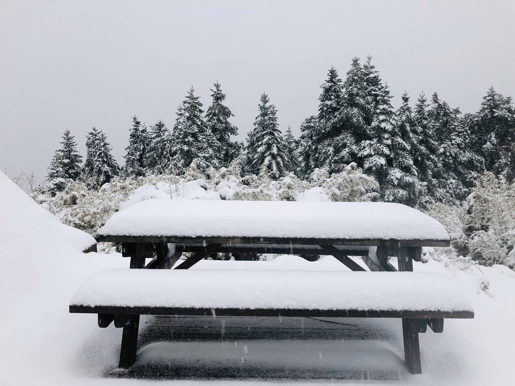 ▲▼     桃山雪況   。（圖／桃山管理處志工提供）