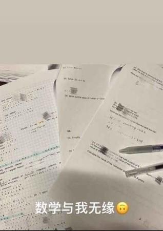 年燒335萬讀瑞士貴族中學　王菲愛女數學試卷留白好灑脫