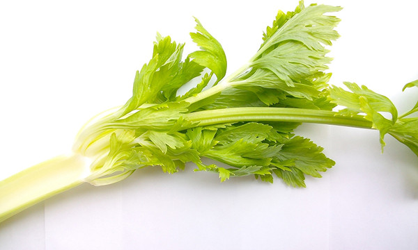 芹菜可抗氧化、降血壓...烹煮時記得別丟掉葉子　其葉酸是莖的10倍