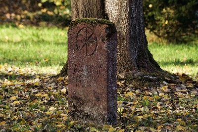 波蘭76歲男「把母親從墳墓挖出來」製成木乃伊　放家中伴屍13年