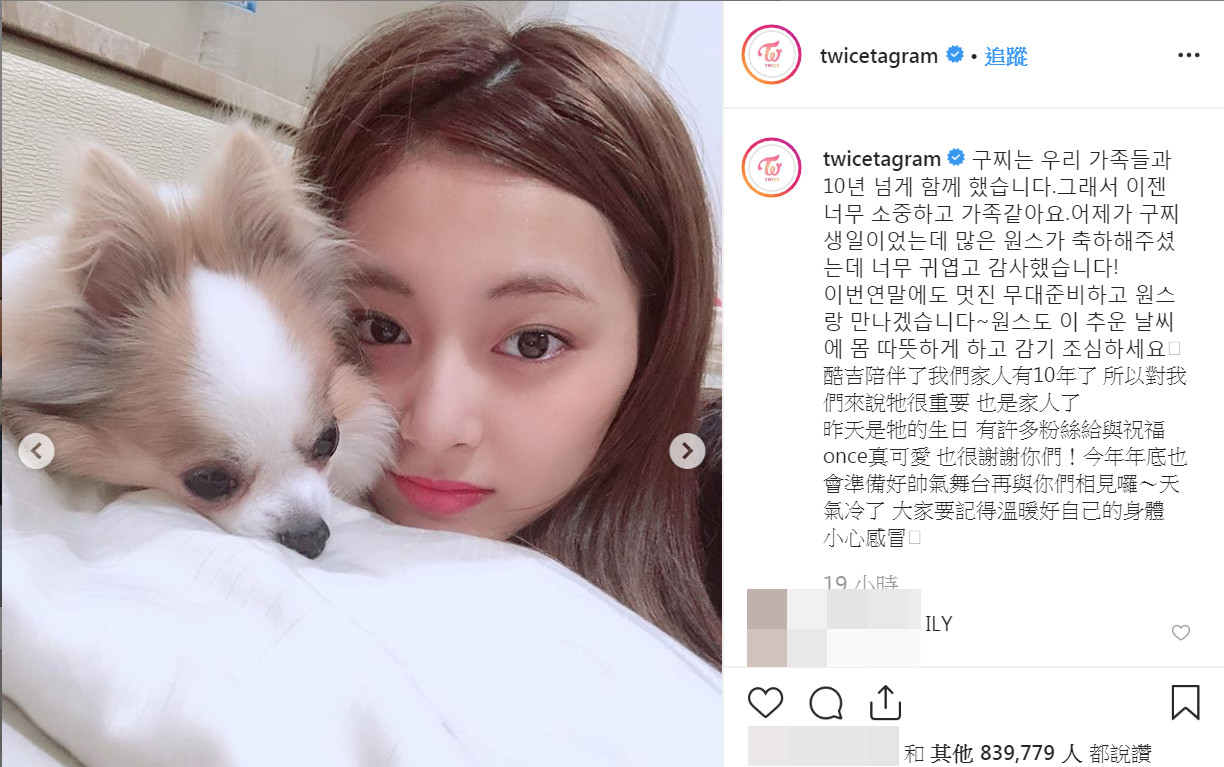 ▲▼子瑜慶祝愛犬「酷吉」10歲生日返台 。（圖／翻攝自IG／twicetagram）