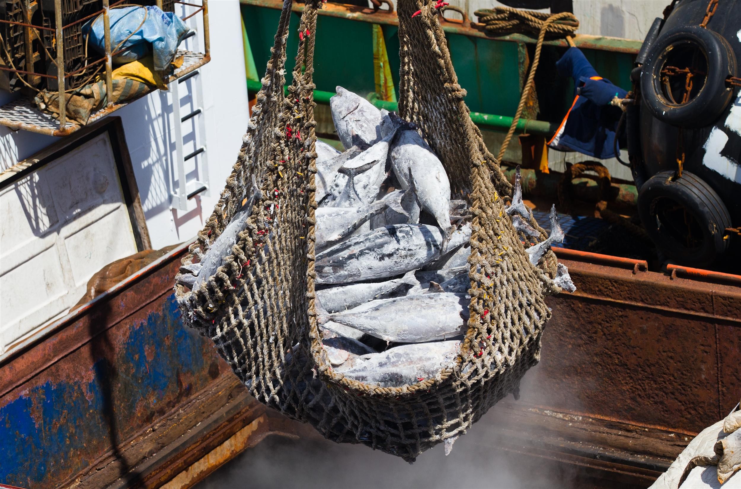 ▲▼綠色和平東南亞辦公室向國際媒體發布「海上奴役」調查報告,漁船,漁工。（圖／綠色和平提供）