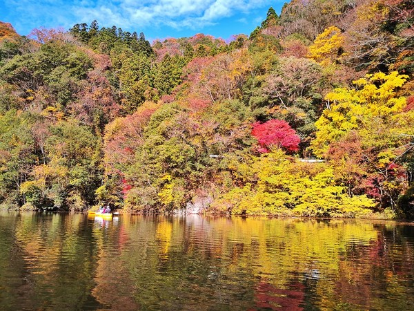 ▲▼日本茨城縣。（圖／水靜葳環遊世界366天提供）