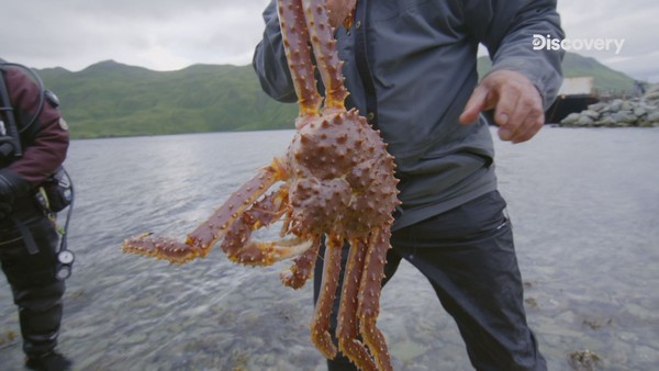 ▲▼沉睡400年！海上「西班牙銀行」失落的鉅額寶藏現蹤加勒比海。（圖／Discovery頻道提供）