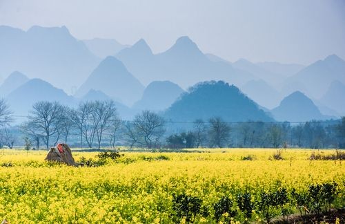 ▲桂林百花爭妍 山水甲天下▼             。（圖／七逗旅遊網提供）