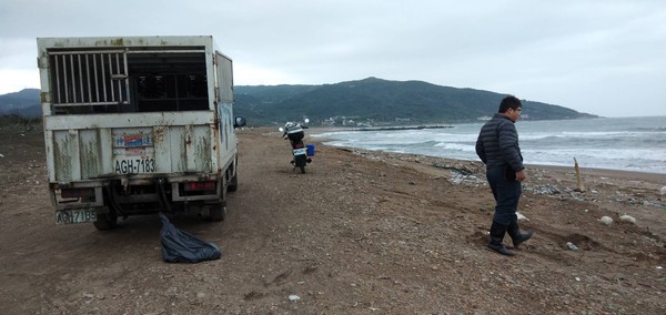 ▲石門白沙灣驚見浪犬叼「人臉大生豬皮」　海巡急通報動保處送驗。（圖／新北市政府動物保護防疫處）