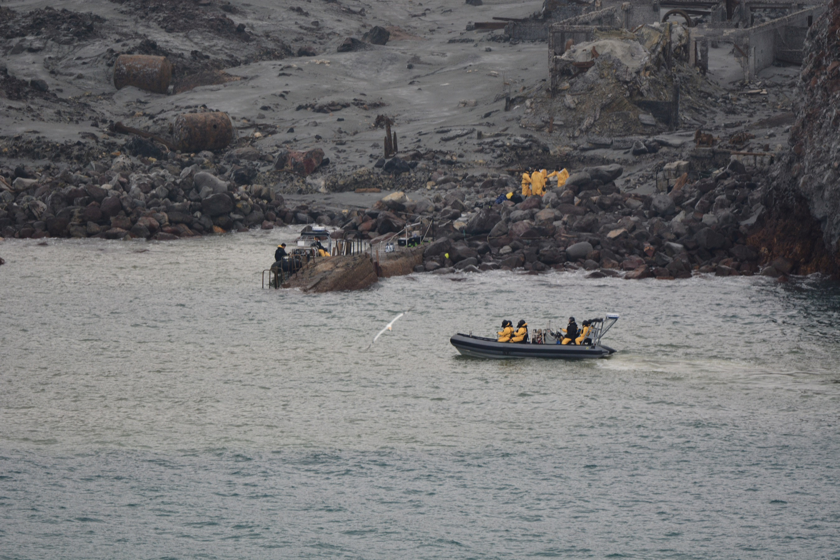 ▲▼ 紐西蘭政府派員登上懷特島，進行搜救行動。（圖／路透）