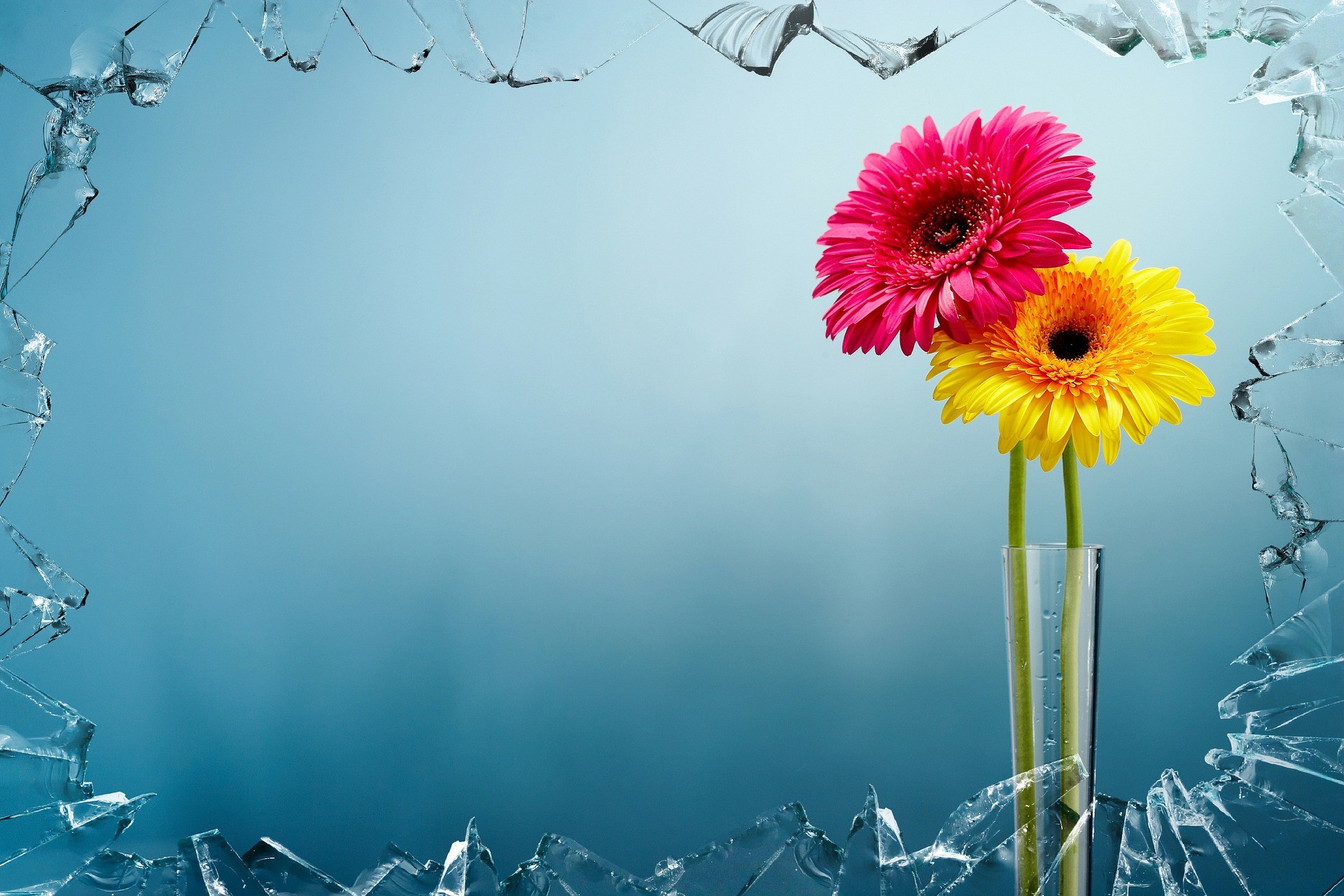 ▲▼插花、花瓶、花。（圖／Pixabay）