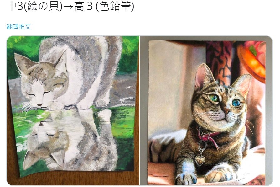 17歲少年色鉛筆畫動物 生動有靈性 3年來堅持每天畫 對比照驚呆 Ettoday國際新聞 Ettoday新聞雲