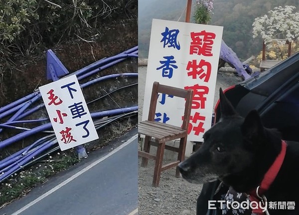 ▲園區禁帶犬...歐告被「寄放」超不爽！　回程白眼不甩肉乾。（圖／飼主王小姐提供）