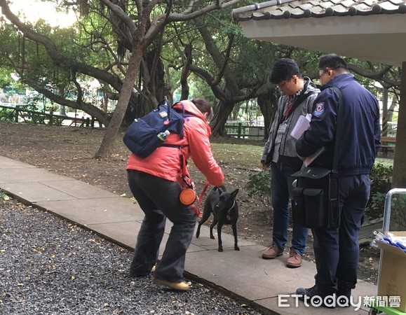 ▲狗突然逼近！博美下秒倒在血泊飼主崩潰　釀禍原因「少了牽繩」。（圖／臺北市動物保護處提供，請勿隨意翻拍，以免侵權。）