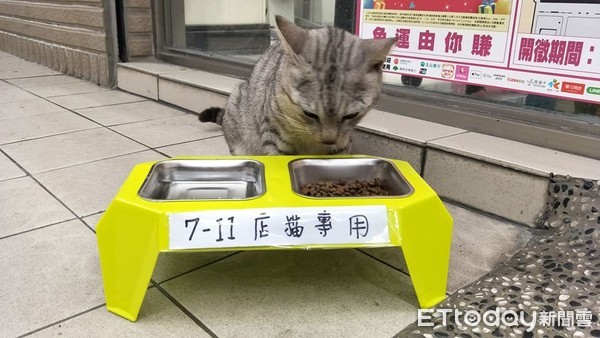 ▲超友善商店！收編同胎「浪貓→店貓」　準備雙碗貓盆餵飼料。（圖／網友‎Acorn授權提供）