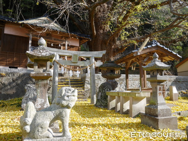 ▲對馬島,銀杏之宿,出海釣魚,日本民宿。（圖／記者彭懷玉攝）