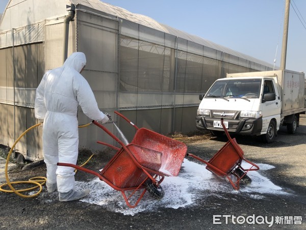 ▲嘉義縣火雞場爆出有禽流感（圖／記者翁伊森翻攝）