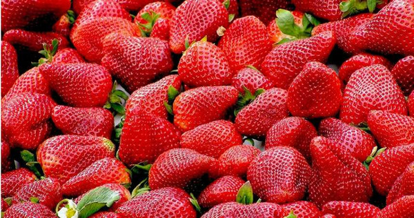 洗草莓要拔蒂頭，專家揭真相（圖／Pixabay）