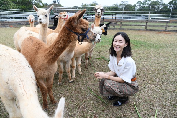 ▲▼埔心牧場「水豚君」入村記者會 鍾瑶現身擔任活動大使             。（圖／三立提供）