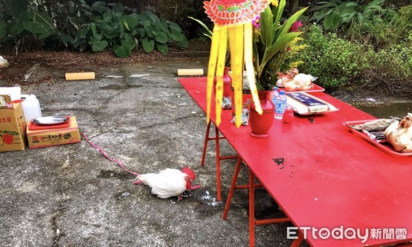 ▲ 北海岸首例！石門「送肉粽」路線曝光 「富貴角公園開始走2km」送出海。（圖／記者郭世賢攝）