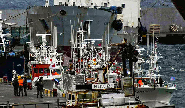 ▲▼  日本北海道5艘漁船17日接受俄羅斯國境警備局檢查後，被帶往國後島。圖為18日漁船在國後島的港口畫面。（圖／達志影像／美聯社）