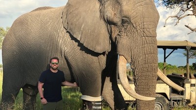 跛腳大象裝義肢「露感激微笑」　這家公司花14年救援2.5萬隻傷殘動物