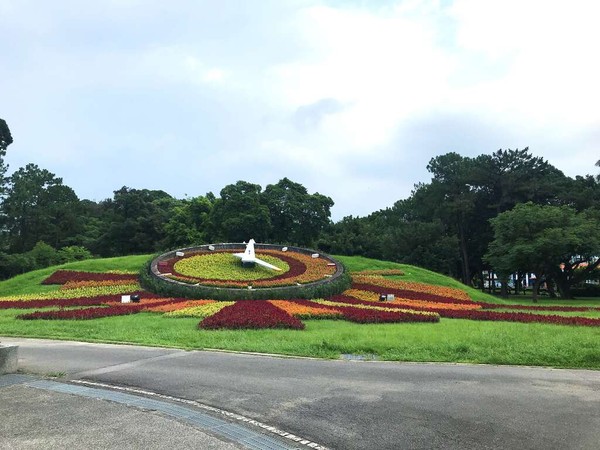 ▲聖誕紅及聖誕黃為主題的青年花鐘。（圖／台北旅遊網）