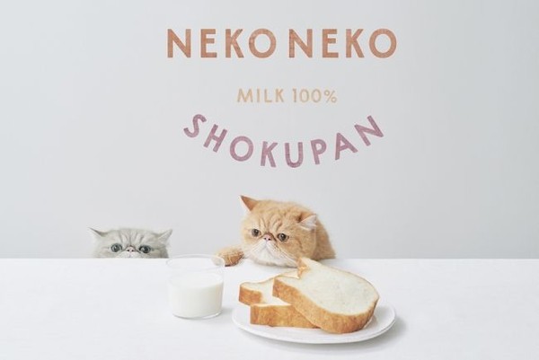 ▲日本超Q萌「貓咪造型吐司」。（圖／翻攝NEKO NEKO SHOKUPAN官網）