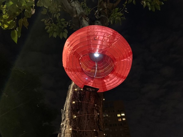 ▲美術園道業者在樹木上布置燈籠，成了打卡熱點。（圖／業者提供）