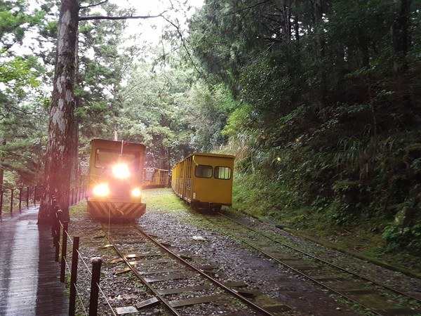 ▲▼太平山「蹦蹦車」1.1Km里程處軌道下邊坡崩塌，暫時停駛2020/1/10起恢復局部通車。（圖／羅東林管處提供，下同）