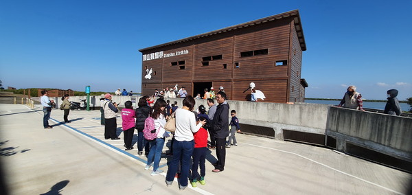 ▲台南市「七股頂山賞鳥亭地區」黑面琵鷺棲息數量突破700隻大關的盛況，雲嘉南管理處將架設望遠鏡讓遊客觀賞黑面琵鷺。（圖／台南市生態保育學會提供）