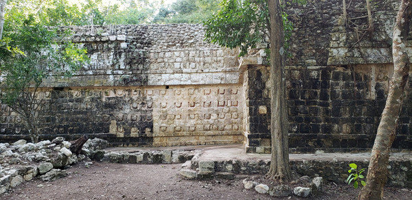 ▲▼考古學家在墨西哥新發現馬雅宮殿，可追溯到距今1000年前。（圖／路透）