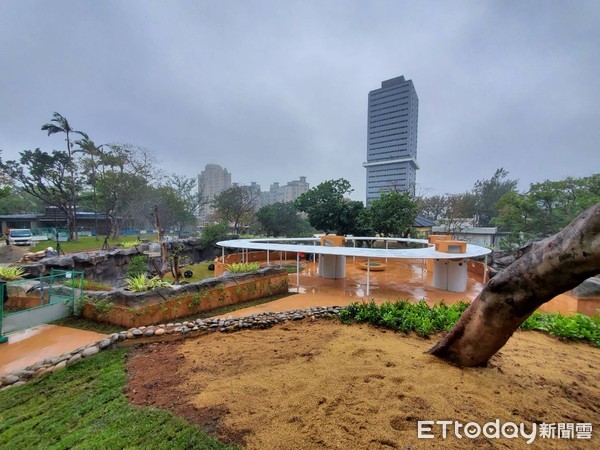 ▲來給猴子看！新竹市動物園重開張　還有限定版可愛巴士登場。（圖／記者陳凱力攝）