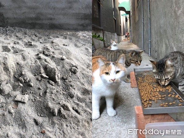 ▲泥作師傅施工堆砂，被貓咪當成廁所使用。（圖／網友姜婷婷授權提供，下同）