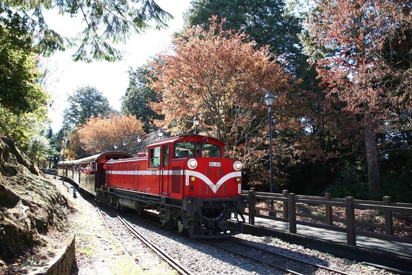 ▲▼ 持阿里山森林鐵路可享大井川鐵路。（圖／林鐵及文資管理處提供）