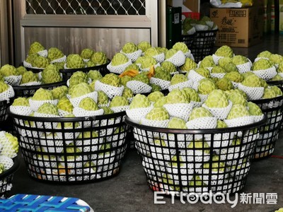 台東釋迦貨櫃卡關無人救　陳允萍批藍綠兩黨候選人無作為