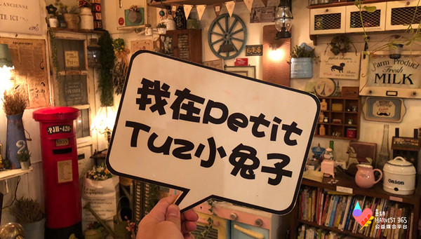 ▲▼ Petit Tuz小兔子鄉村輕食雜貨鋪 。（圖／記者張兆櫻攝）