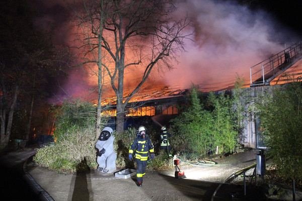 ▲▼ 德國克雷費爾德動物園（Krefeld Zoo）31日跨年夜發生火災。（圖／達志影像／美聯社）