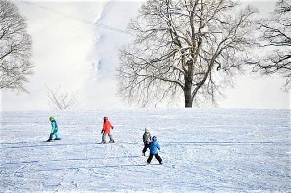 ▲▼日本滑雪場玩法懶人包。（圖／Tripbaa）