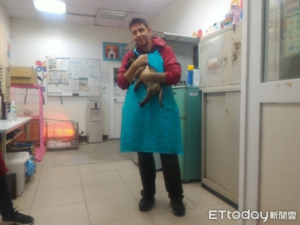 ▲想起家鄉愛犬！西班牙男到動物之家「照顧浪浪」，紓解思念之情。（圖／新北市政府動物保護防疫處提供）