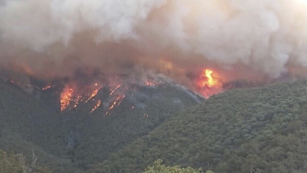 ▲澳洲大火已經燒掉1.5個台灣的面積。（圖／達志影像／美聯社）