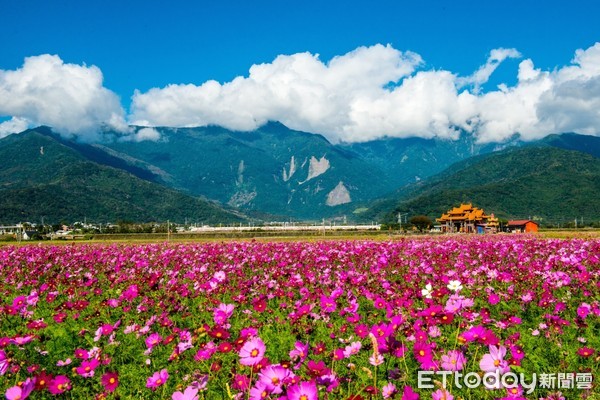 ▲▼台東縣池上鄉。（圖／觀光局提供）