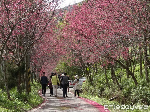 ▲▼花蓮縣鳳林鎮。（圖／觀光局提供）